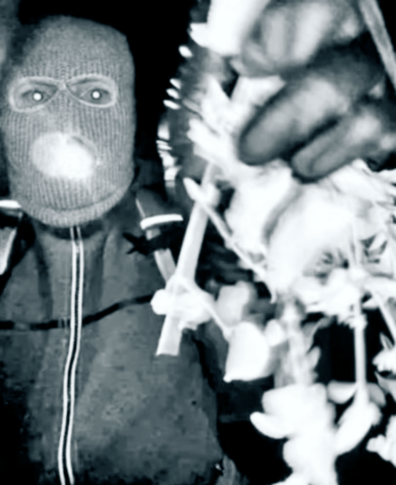 NScreenshot 2026-02-10 at 15.45.02.png