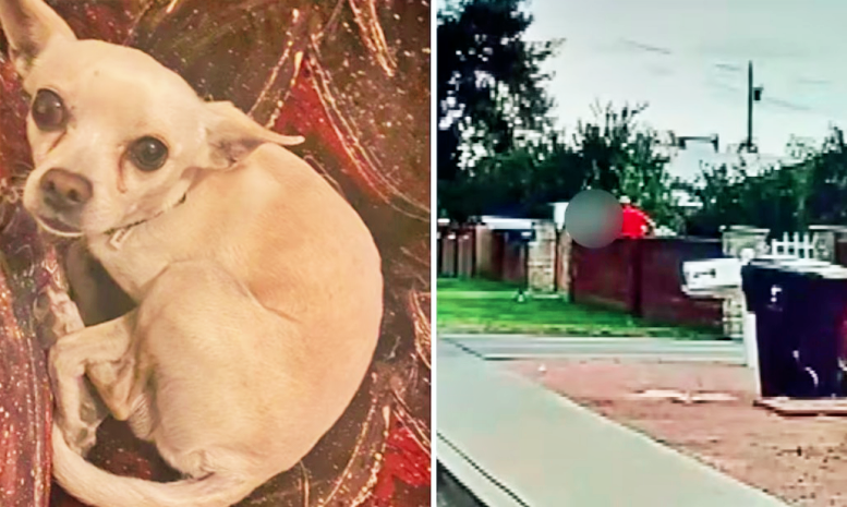 NScreenshot 2026-02-16 at 15.09.06.png