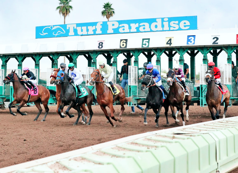 NE-J-WON-THE-CUP-Turf-Paradise-Derby-03-14-24-R07-Turf-Paradise-Start_credit-Coady-1.png